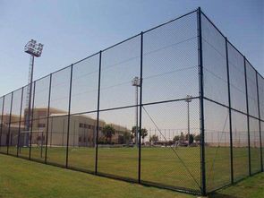 學(xué)校球場圍欄網(wǎng)與鋼結(jié)構(gòu)網(wǎng)架 安全防護與空間優(yōu)化的綜合解決方案